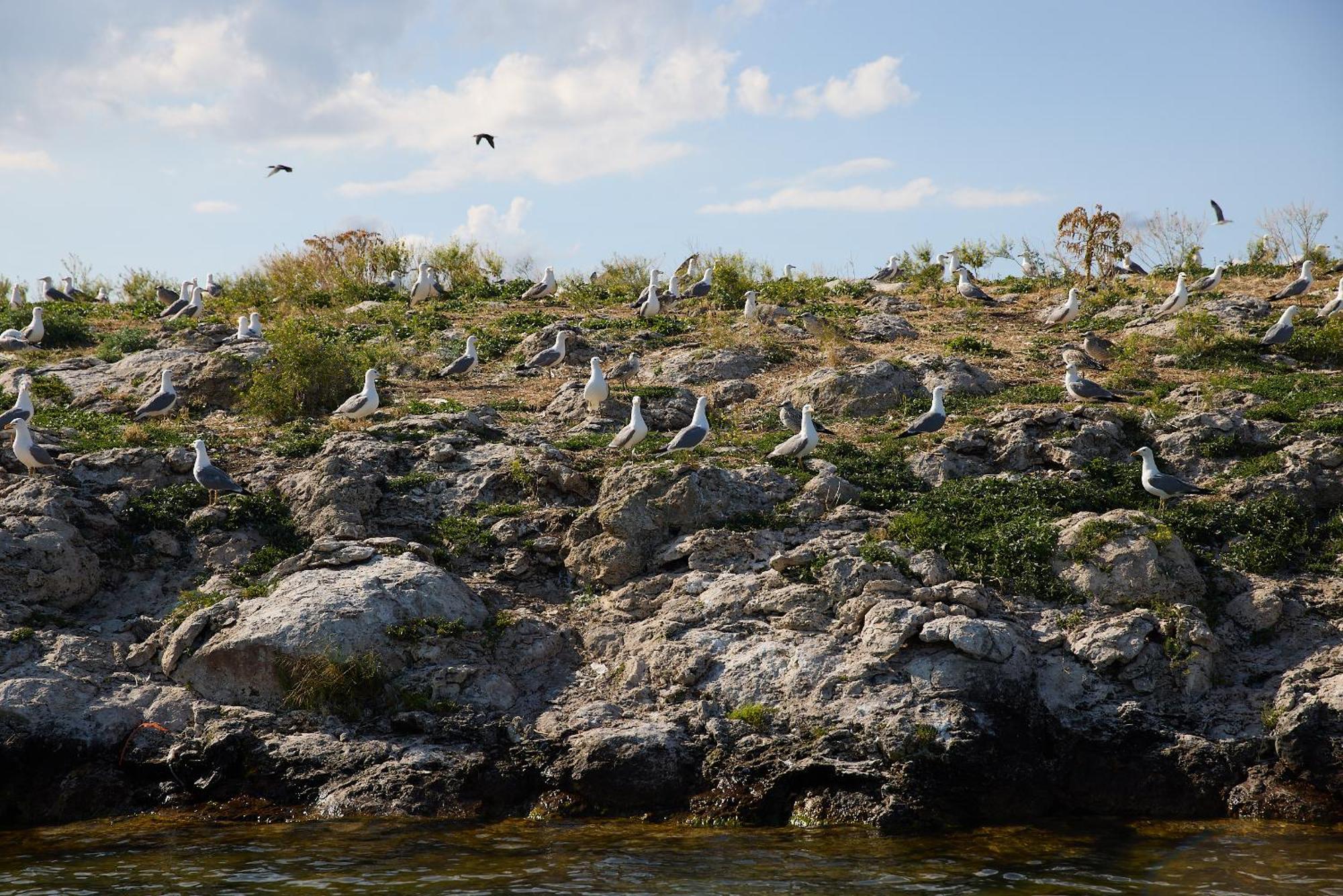 Noy Land Resort Sevan Dış mekan fotoğraf